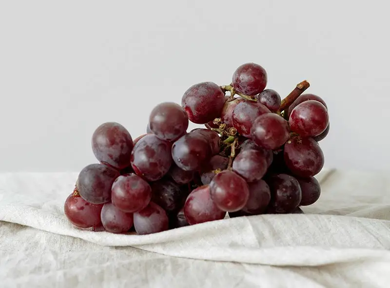 Golden Curcuma Flavored