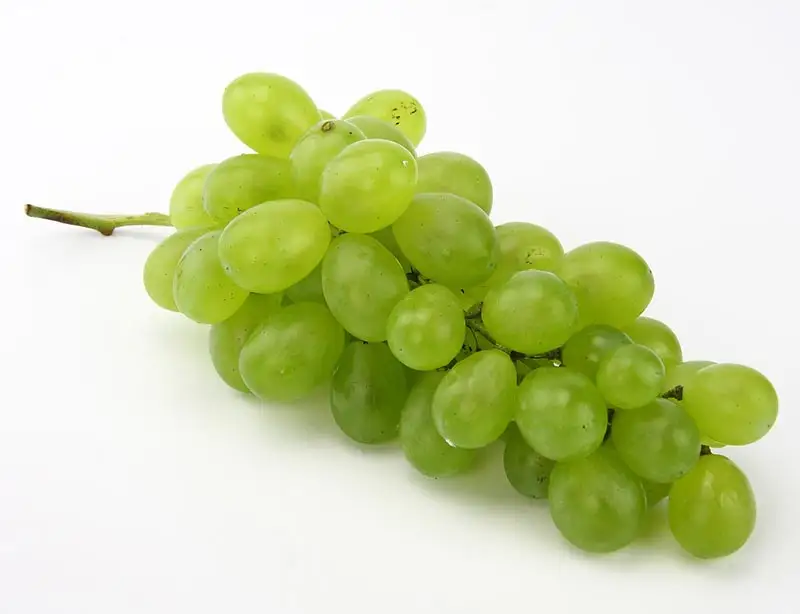 Golden Curcuma Flavored